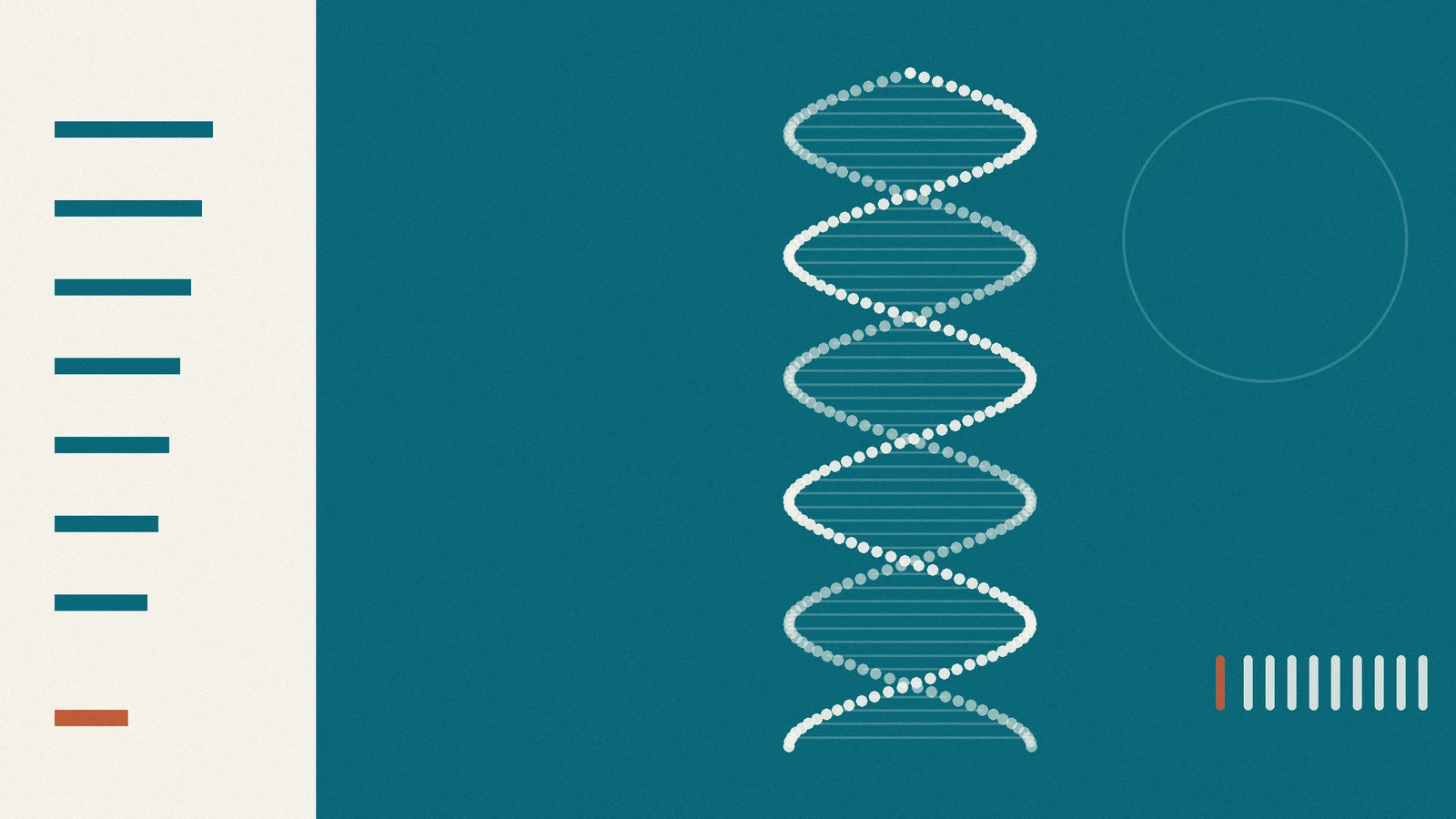Claude нашёл неизвестную систему ферментов с ДНК-повторами, похожими на CRISPR